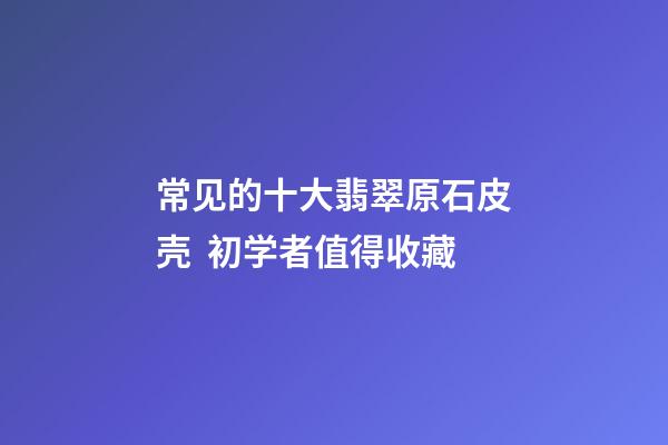 常见的十大翡翠原石皮壳  初学者值得收藏